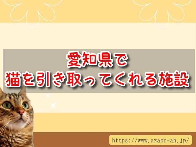 愛知県　猫を引き取ってくれる施設